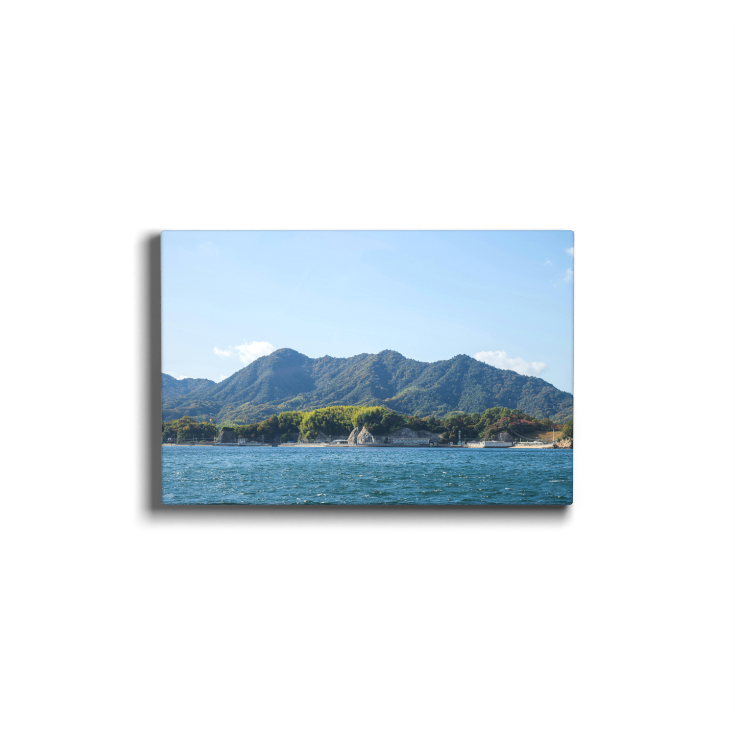 Canvas Prints - Image 2