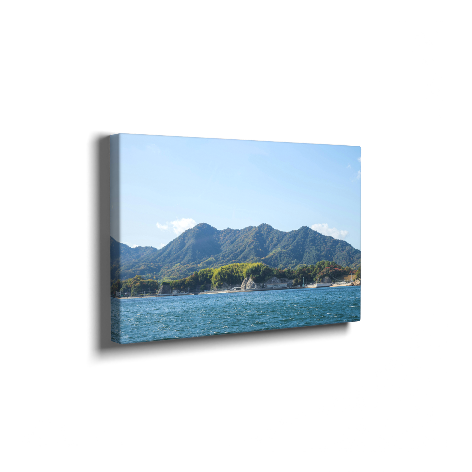 Canvas Prints - Image 3