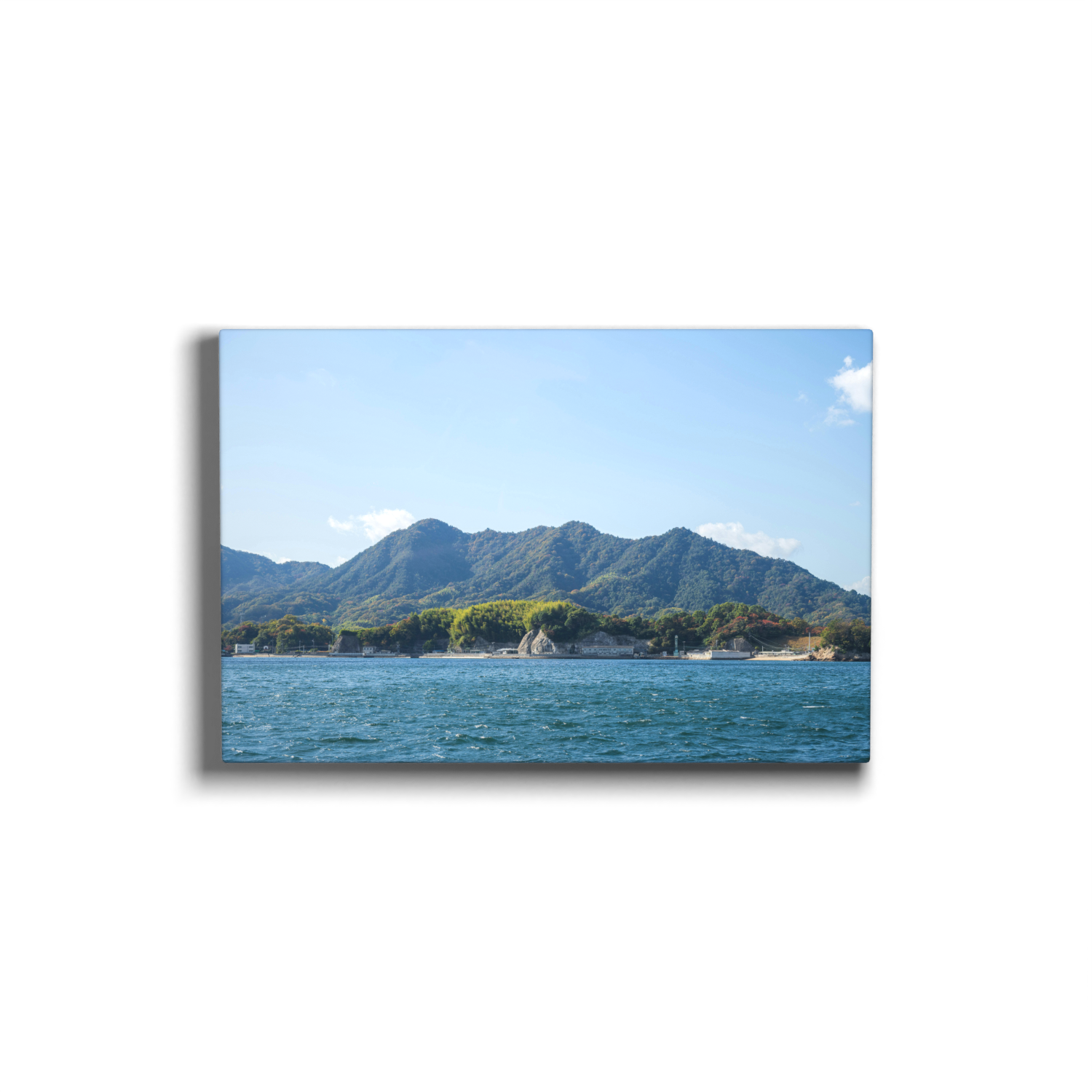 Canvas Prints - Image 4