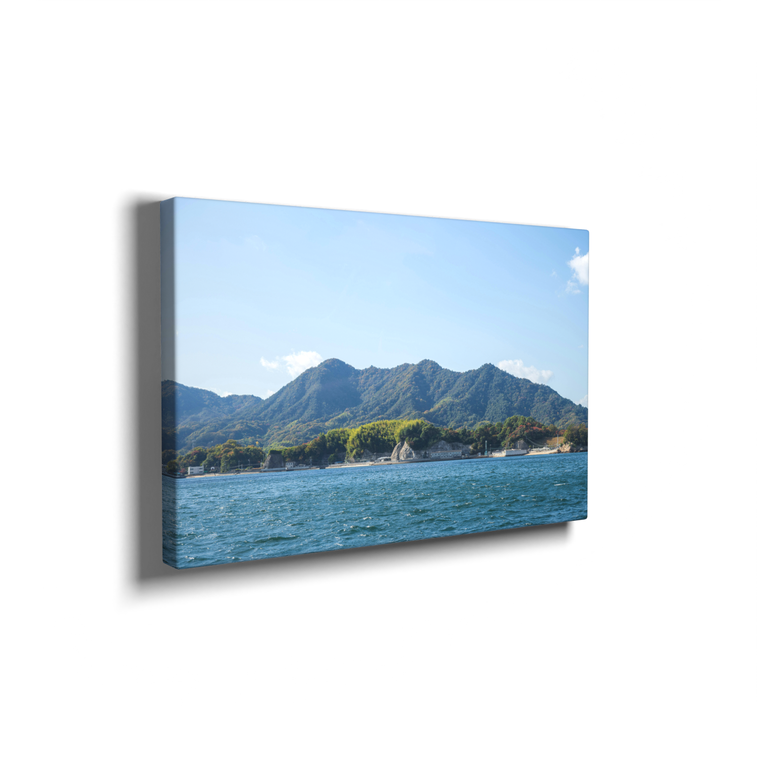 Canvas Prints - Image 5