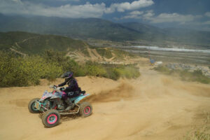 9E8D8E01-65FB-4C21-8A41-FE7830B43591